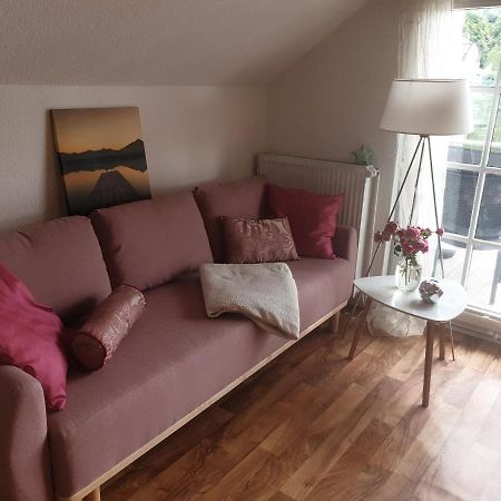 Apartment Am Stadtsee 默尔恩 外观 照片
